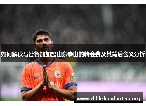 如何解读马德鲁加加盟山东泰山的转会费及其背后含义分析 如何解读马德鲁加加盟山东泰山的转会费及其背后含义分析