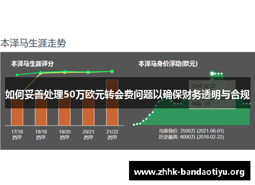 如何妥善处理50万欧元转会费问题以确保财务透明与合规 如何妥善处理50万欧元转会费问题以确保财务透明与合规