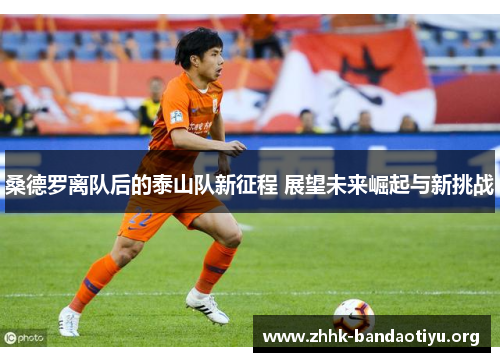 桑德罗离队后的泰山队新征程 展望未来崛起与新挑战 桑德罗离队后的泰山队新征程 展望未来崛起与新挑战