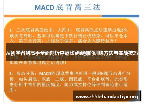 从初学者到高手全面剖析夺冠比赛级别的训练方法与实战技巧 从初学者到高手全面剖析夺冠比赛级别的训练方法与实战技巧