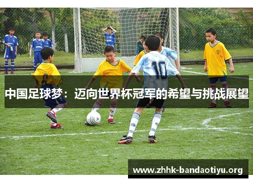 中国足球梦:迈向世界杯冠军的希望与挑战展望 中国足球梦:迈向世界杯冠军的希望与挑战展望