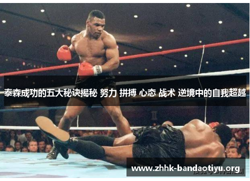 泰森成功的五大秘诀揭秘 努力 拼搏 心态 战术 逆境中的自我超越 泰森成功的五大秘诀揭秘 努力 拼搏 心态 战术 逆境中的自我超越