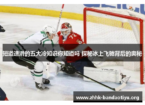 短道速滑的五大冷知识你知道吗 探秘冰上飞驰背后的奥秘 短道速滑的五大冷知识你知道吗 探秘冰上飞驰背后的奥秘