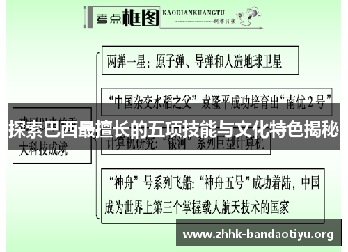 探索巴西最擅长的五项技能与文化特色揭秘 探索巴西最擅长的五项技能与文化特色揭秘