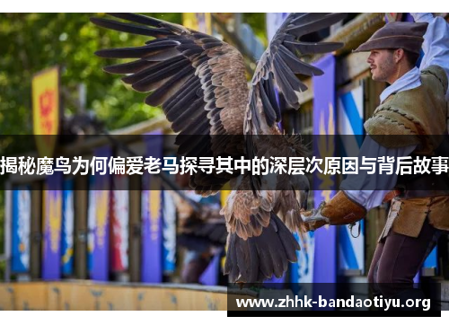 揭秘魔鸟为何偏爱老马探寻其中的深层次原因与背后故事 揭秘魔鸟为何偏爱老马探寻其中的深层次原因与背后故事